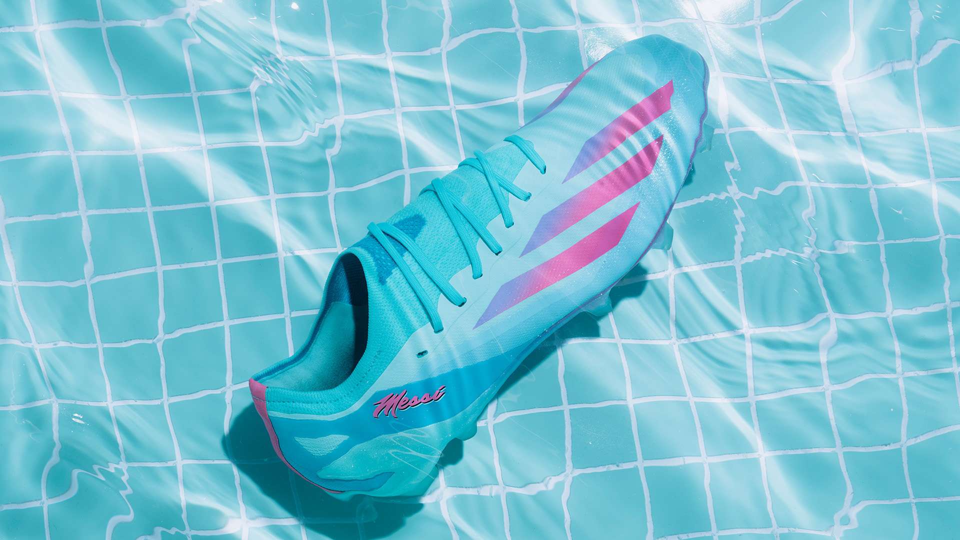 织能力同样 织能力同样